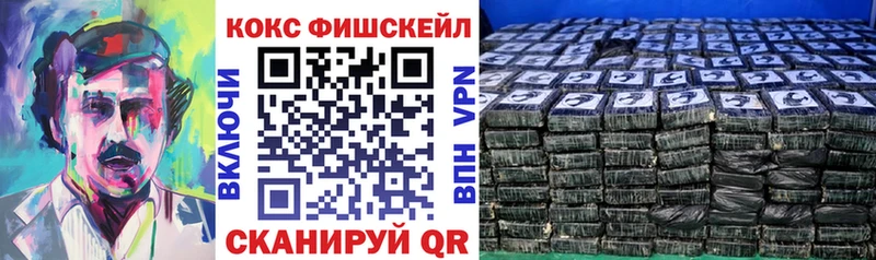 Купить закладки  Сердобск  Cocaine Fish Scale 