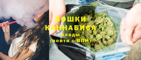 ПСИЛОЦИБИНОВЫЕ ГРИБЫ Горнозаводск