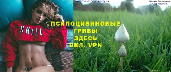 ПСИЛОЦИБИНОВЫЕ ГРИБЫ Горнозаводск