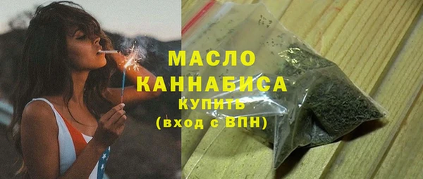 хмурый Горняк