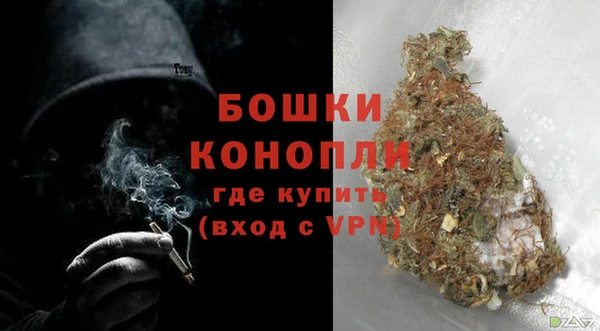 ПСИЛОЦИБИНОВЫЕ ГРИБЫ Горнозаводск
